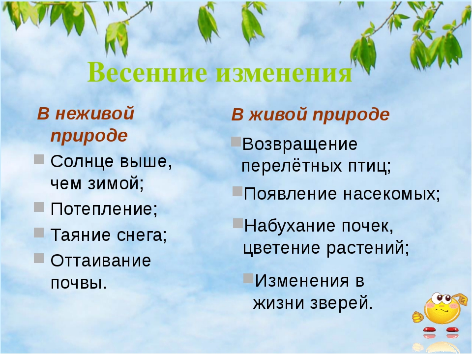 Весенние месяцы связанные с явлениями живой природы