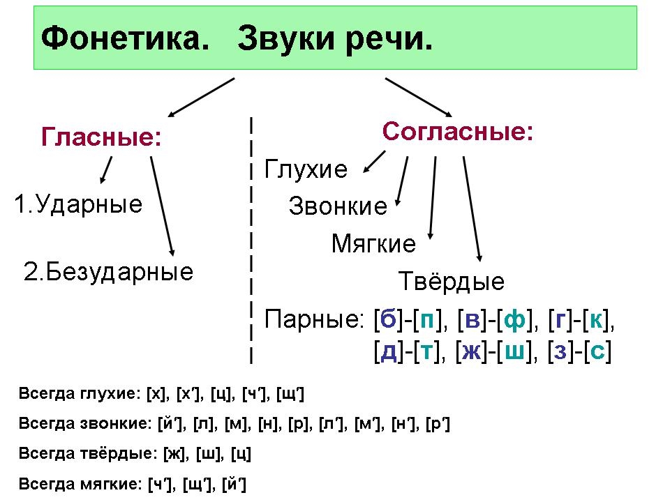 Фонетика 6 класс презентация