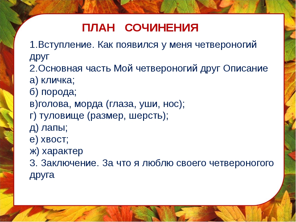 Сочинение описание 5 класс по русскому языку презентация