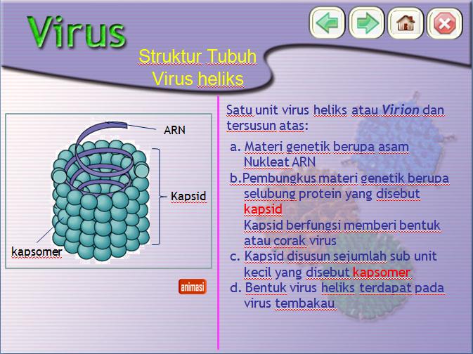 Вирусы тест 10
