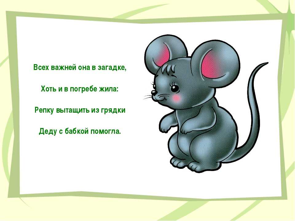 Мышь какая прилагательные. Загадка про мышку. Загадка про мышь. Загадка про мышь для детей. Загадка про мышку для детей.
