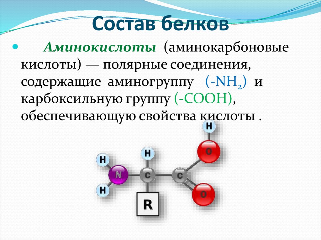 Назовите химическую связь обозначенную на рисунке голубым фоном для каких биополимеров характерны