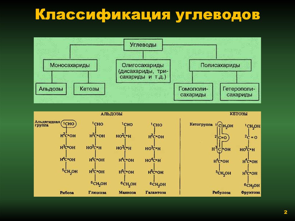 Классификация углеводов картинки