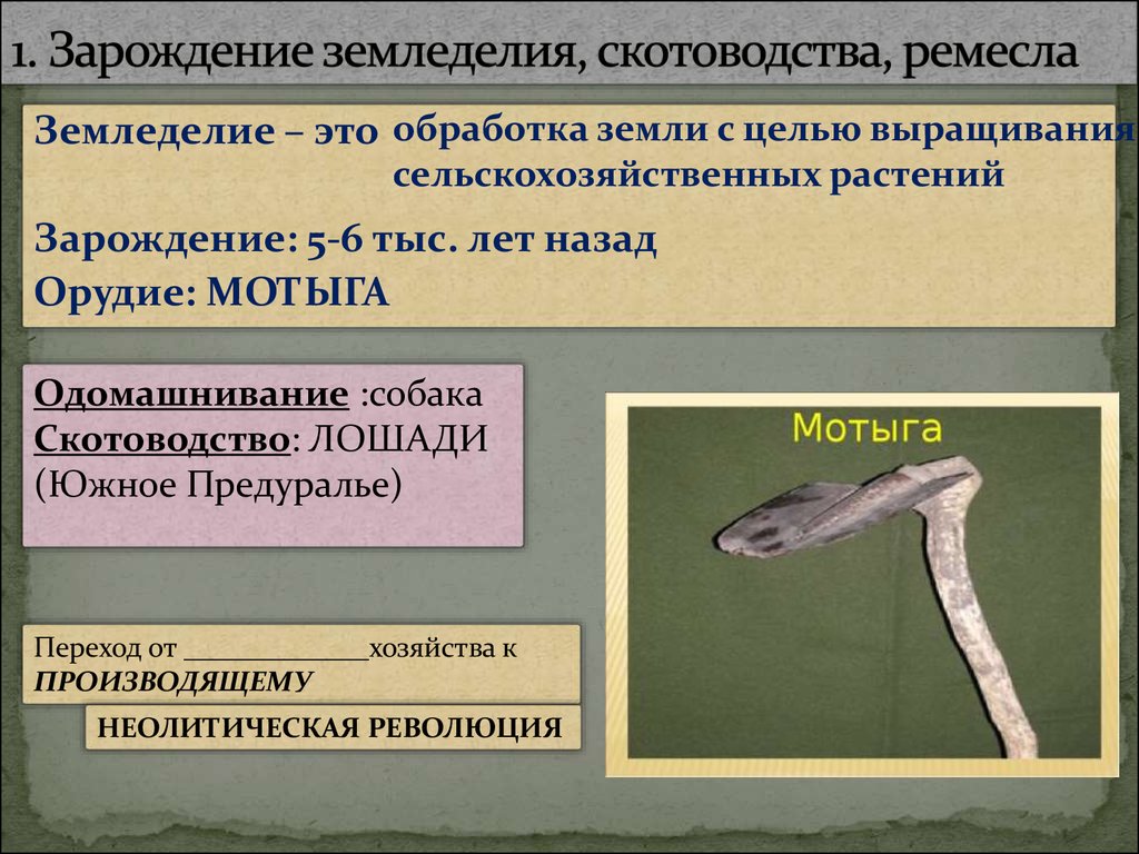 Возникновение земледелия и скотоводства презентация