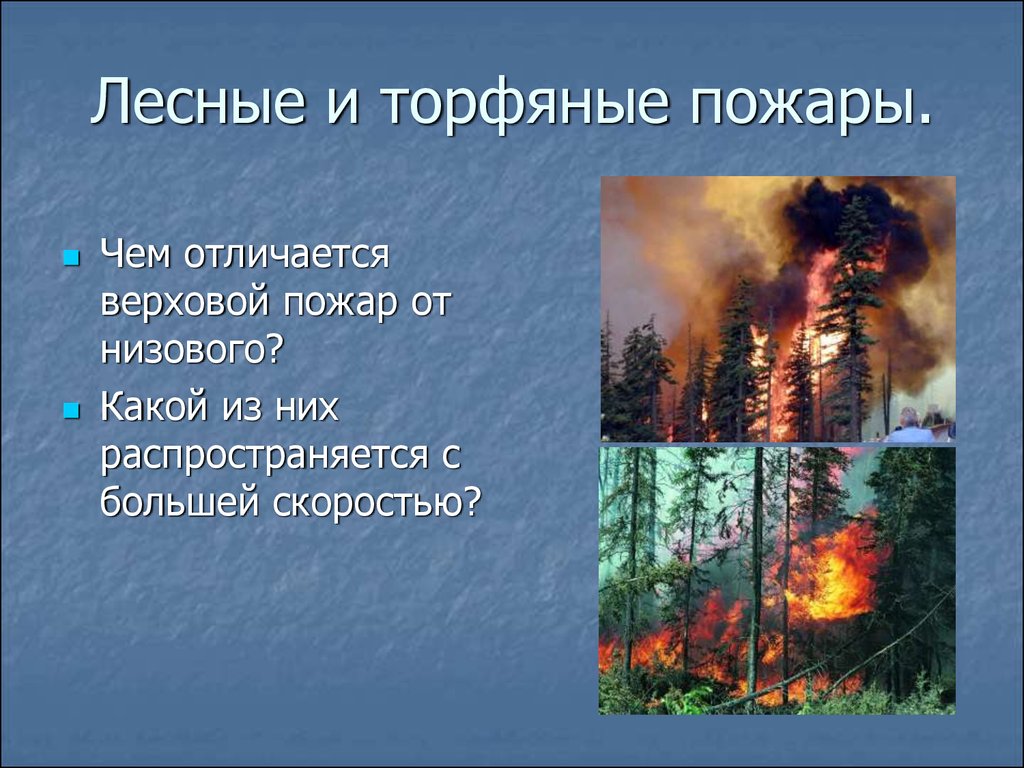 Проблема лесных пожаров в россии презентация