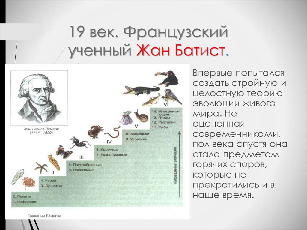 Ламарк биология 9 класс. Эволюционная концепция жана Батиста Ламарка.