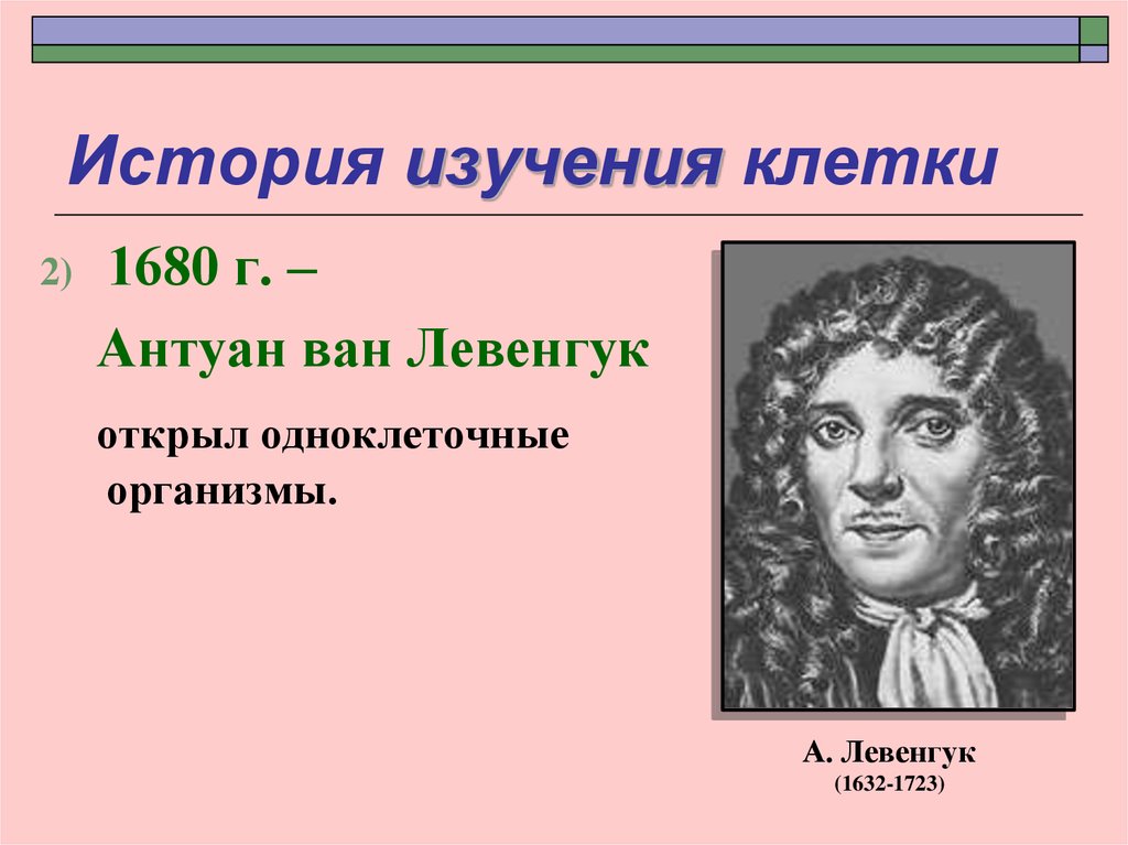 Открытие ван левенгука. Антони Ван Левенгук портрет. Ван Левенгук открытия. Левенгук 1680 открыл. Антуан Ван Левенгук открыл и описал.