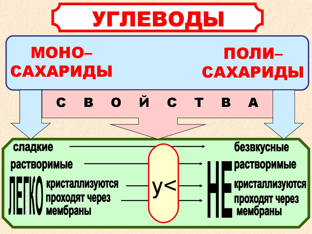 Углеводы презентация 9 класс биология