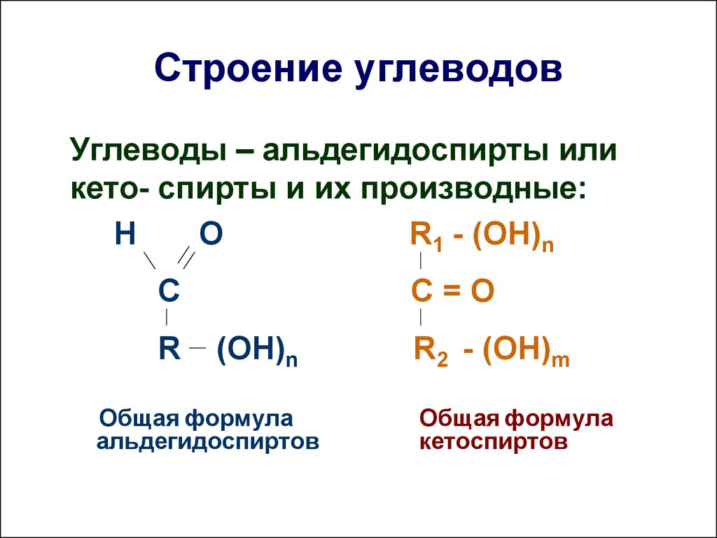 Углеводы презентация 9 класс биология