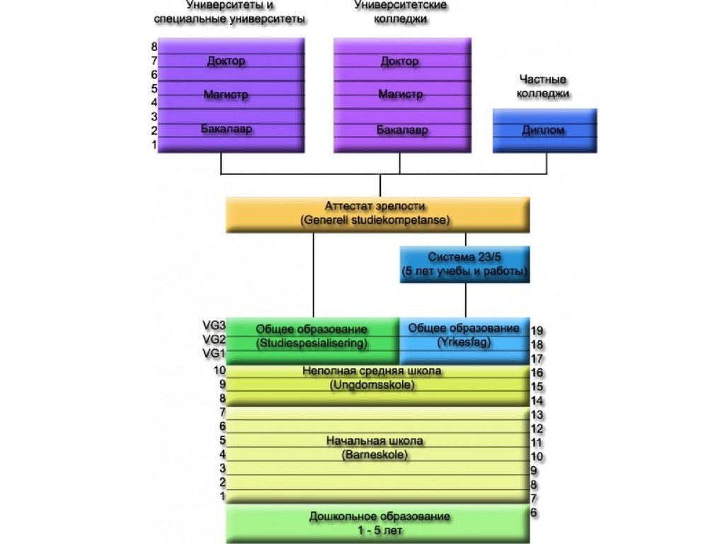 Система образования в германии схема