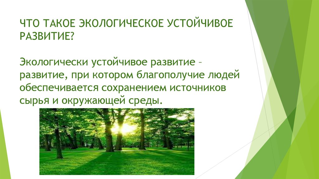 Производство и окружающая среда презентация к уроку