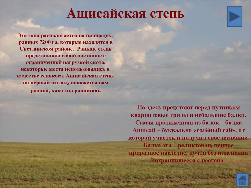 В какой природной зоне находится оренбургская область. Оренбургский заповедник Ащисайская степь. Ащисайская степь Светлинский район. Ащисайская степь Оренбургской области заповедники. Степи Оренбуржья сообщение.