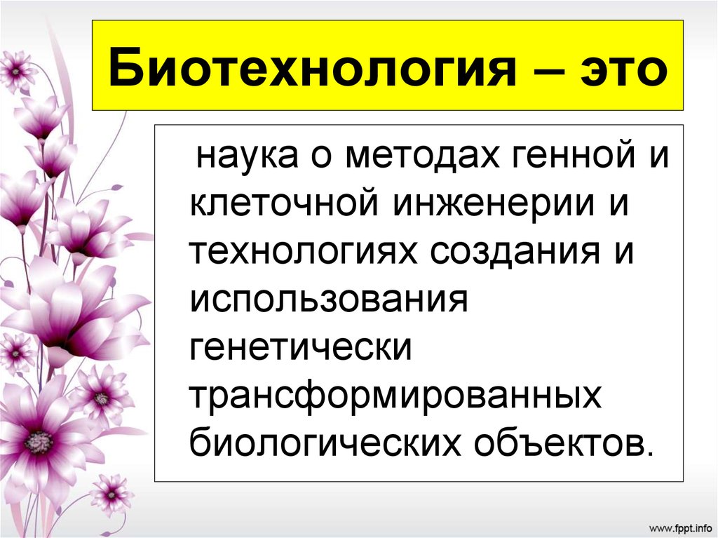 Генная и клеточная инженерия 10 класс биология презентация