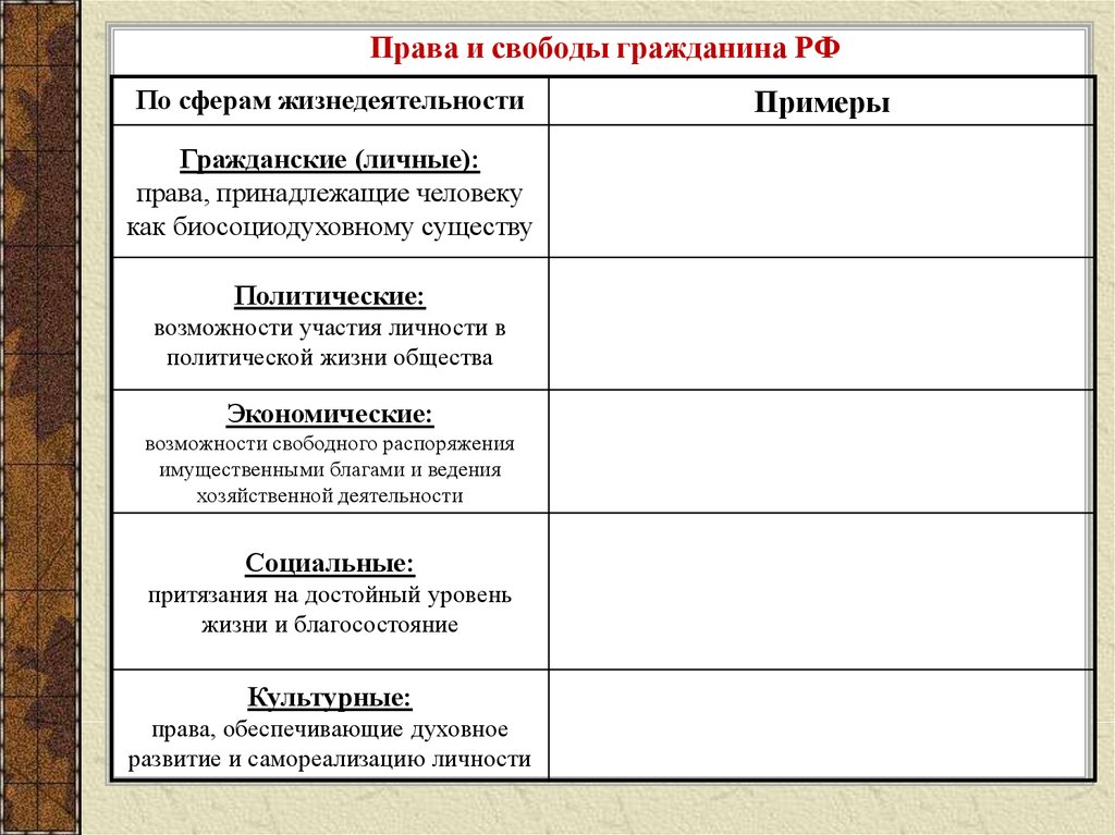 План конспект социальные права