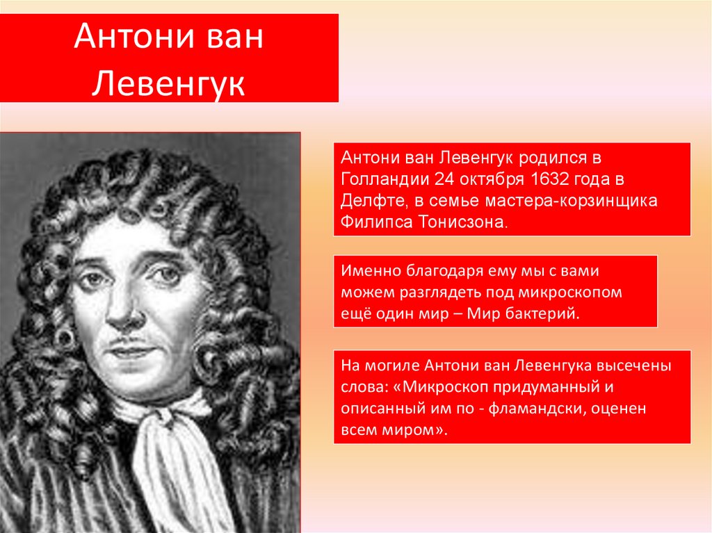 Антоний ван левенгук. Антони Ван Левенгук. Ученый Антони Ван Левенгук. Антоний Ван Левенгук вклад в медицину. Антонио Ван Левенгук (1632-1723).