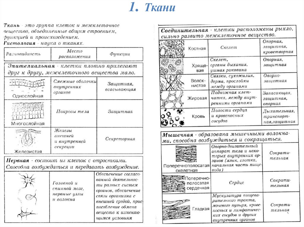 Биология 8 класс в схемах