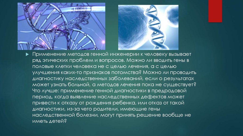 Генетика и генная инженерия презентация 8 класс технология