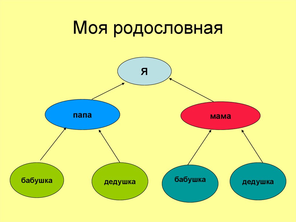 План родословная 2 класс окружающий