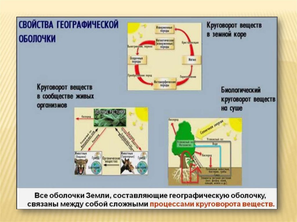 Презентация по географии 6 класс географическая оболочка земли