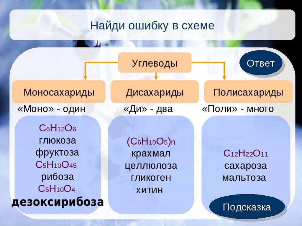 Урок углеводы 10 класс химия