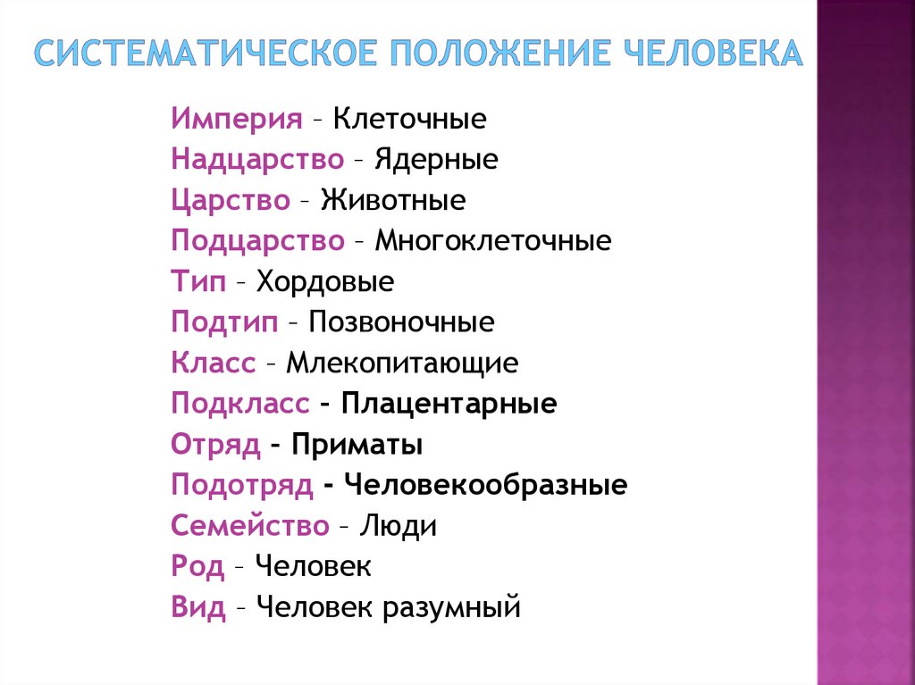 Положение человека в природе