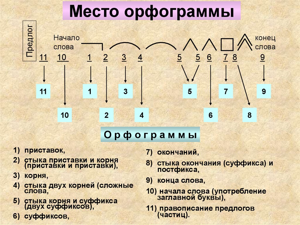 Орфограммы русский язык 3 класс примеры. Орфограммы. Что такое орфограмма. Схемы орфограмм. Правописание орфограмм.