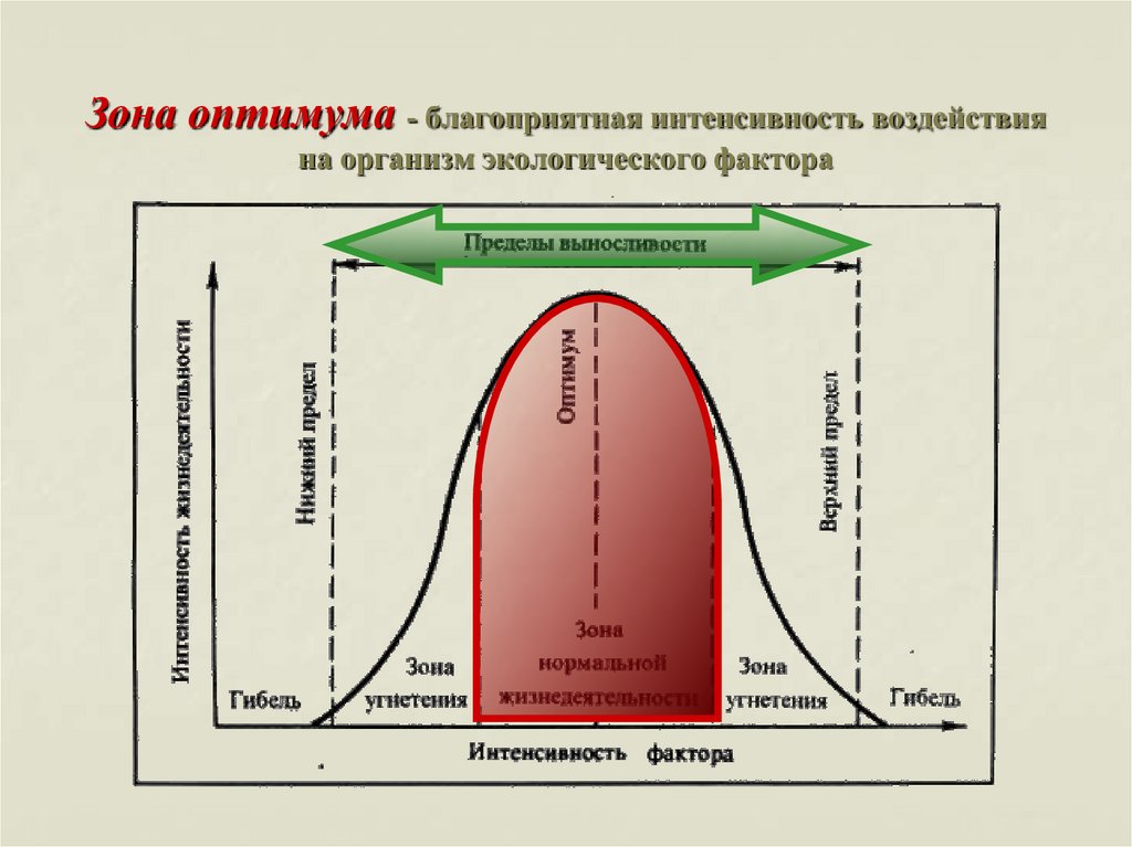 Презентация по биологии 9 класс интенсивность действия факторов среды