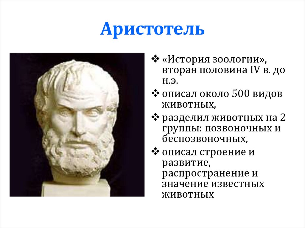 Вклад аристотеля в философию. Аристотель его вклад. Аристотель достижения. Аристотель открытия. Основоположник зоологии.