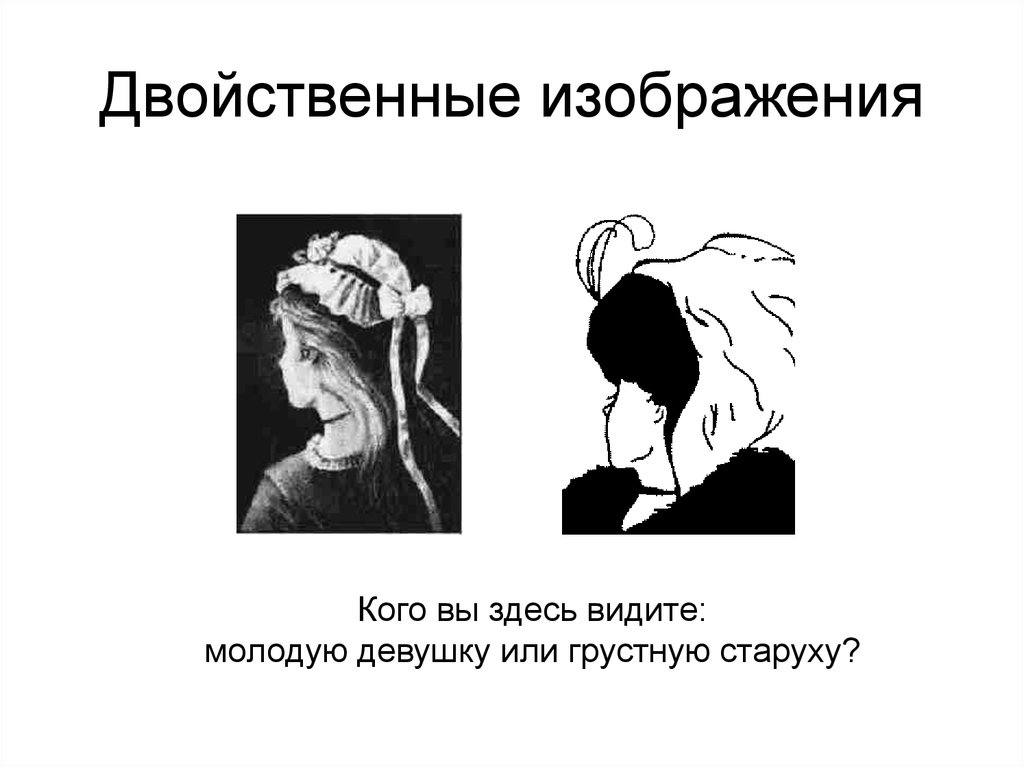 Кто открыл закон взаимной индукции. Двойственные изображения. Двойственные изображения иллюзии. Двойственные изображения психология. Двойственные изображения для детей.