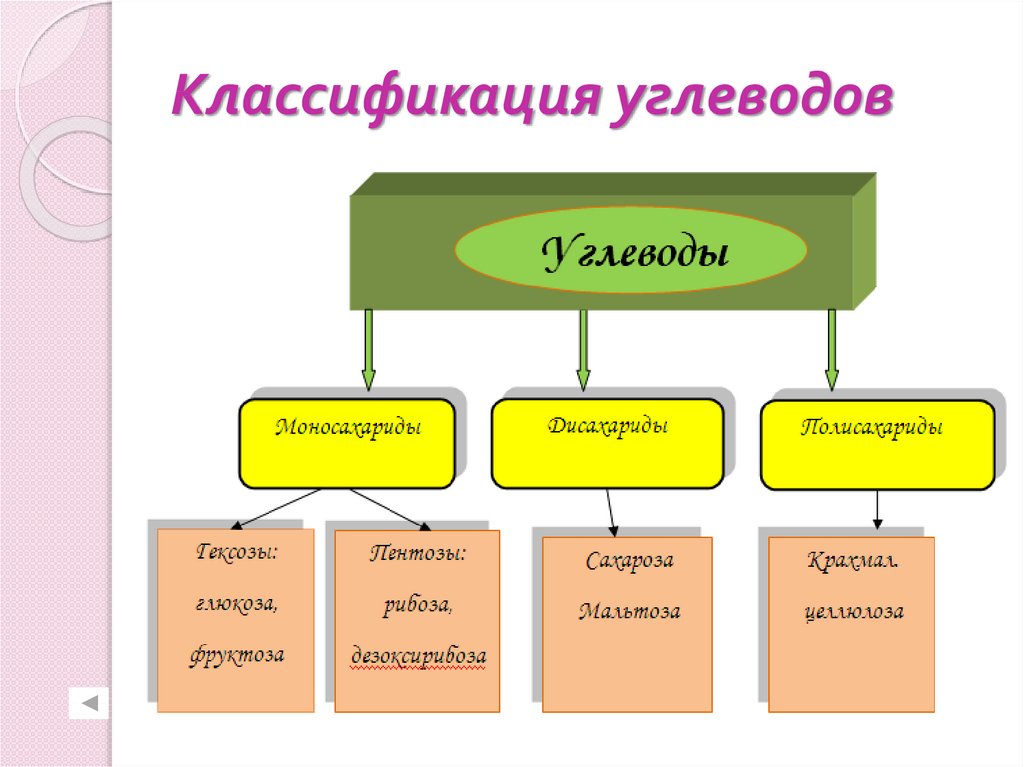 Углеводы презентация 9 класс по биологии