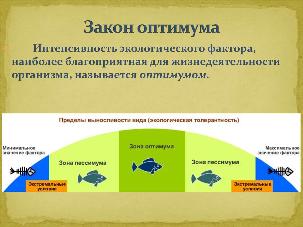 Презентация по биологии 9 класс интенсивность действия факторов среды