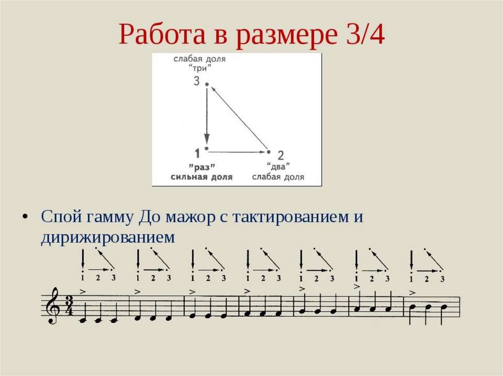 Майншилд песня текст. Схема дирижирования размера 2/4. Три четверти схема дирижирования. Размер три четверти в Музыке. Размер 3/4 в Музыке.