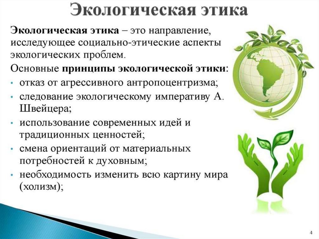 Экология и ее значение 9 класс. Экологическая этика. Элементы экологической этики. Экологическая этика презентация. Уроки экологической этики.