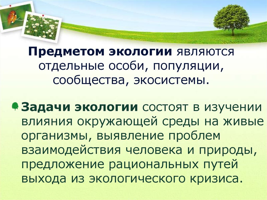 Презентация на тему экология окружающей среды 11 класс