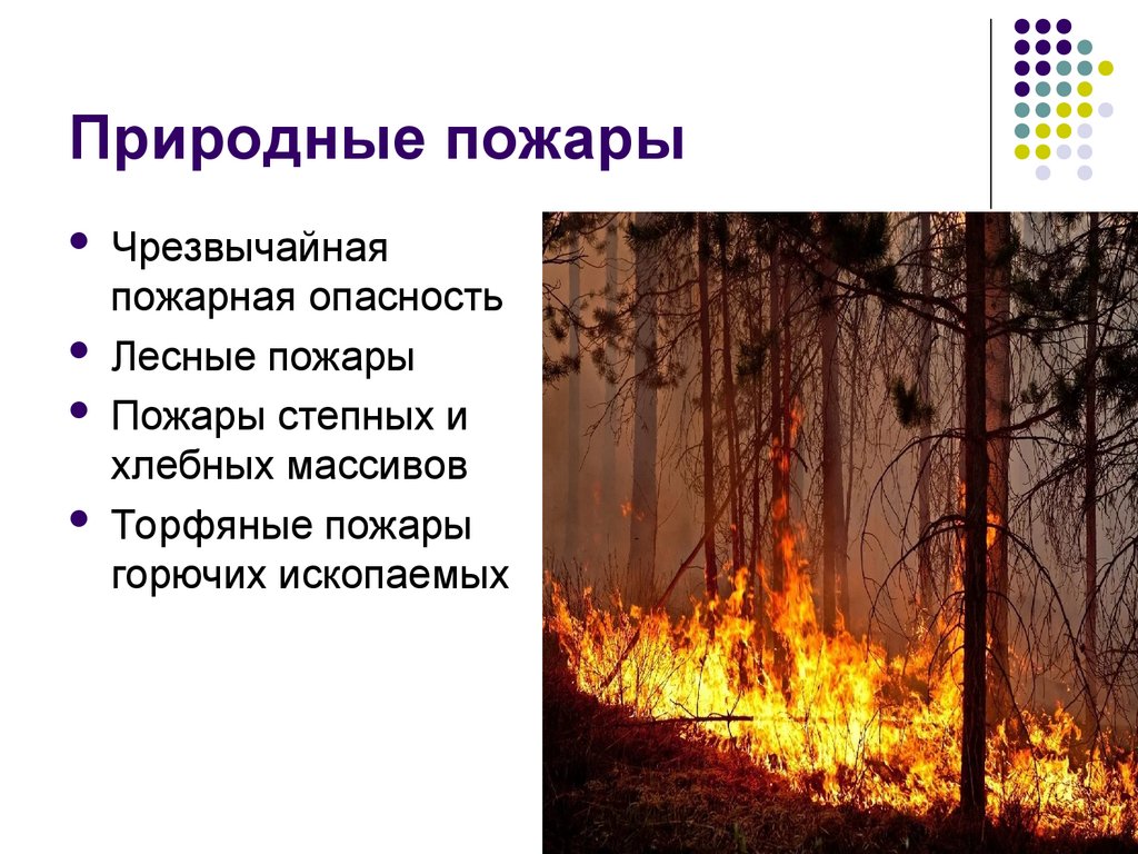 Природные пожары виды. Пожары природного характера. Природные пожары ЧС. Природные пожары презентация. Природные пожары БЖД.