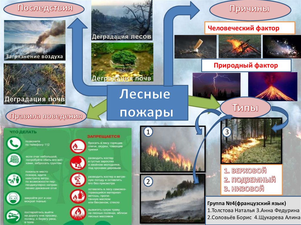 Почему лесные пожары. Причины лесных пожаров. Причины и последствия природных пожаров. Лесные пожары причины и последствия. Лесные пожары человеческий фактор.