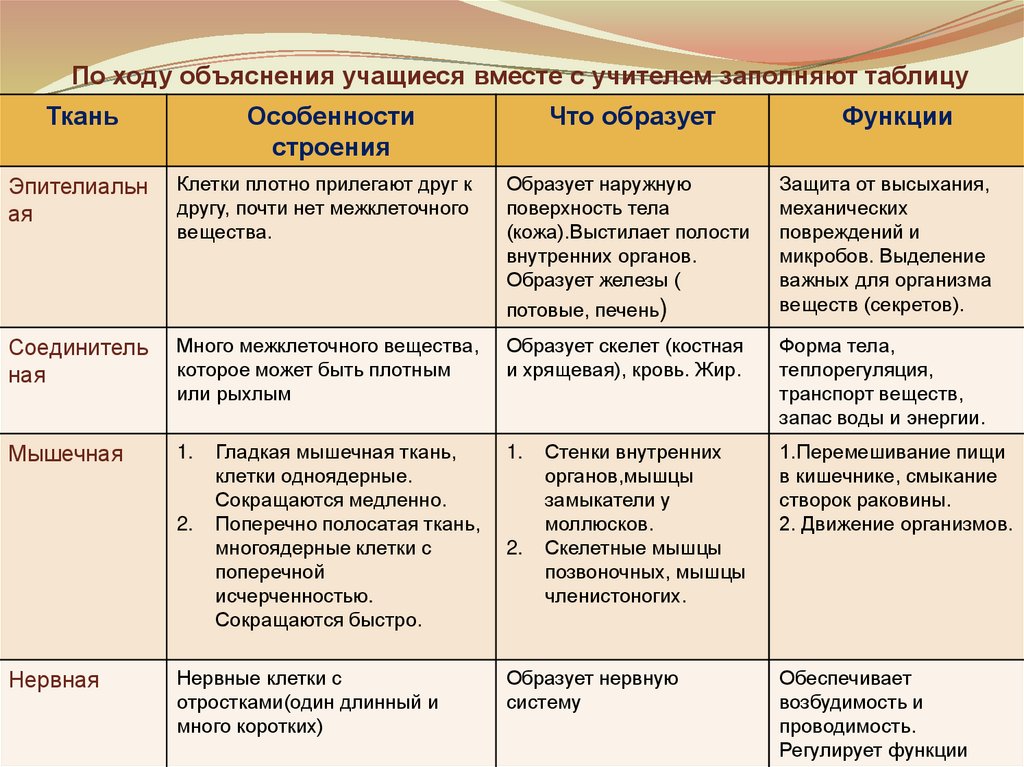 Работа с моделями схемами таблицами биология 7 класс