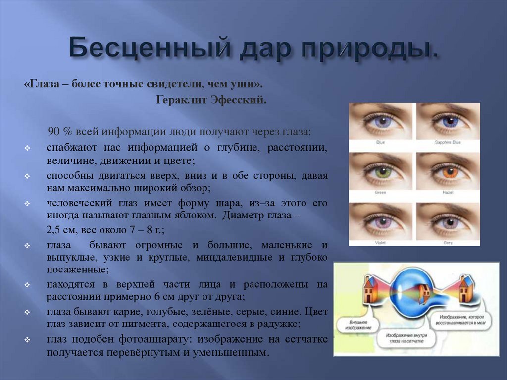 Составь план сообщения для первоклассников на тему как нужно беречь зрение