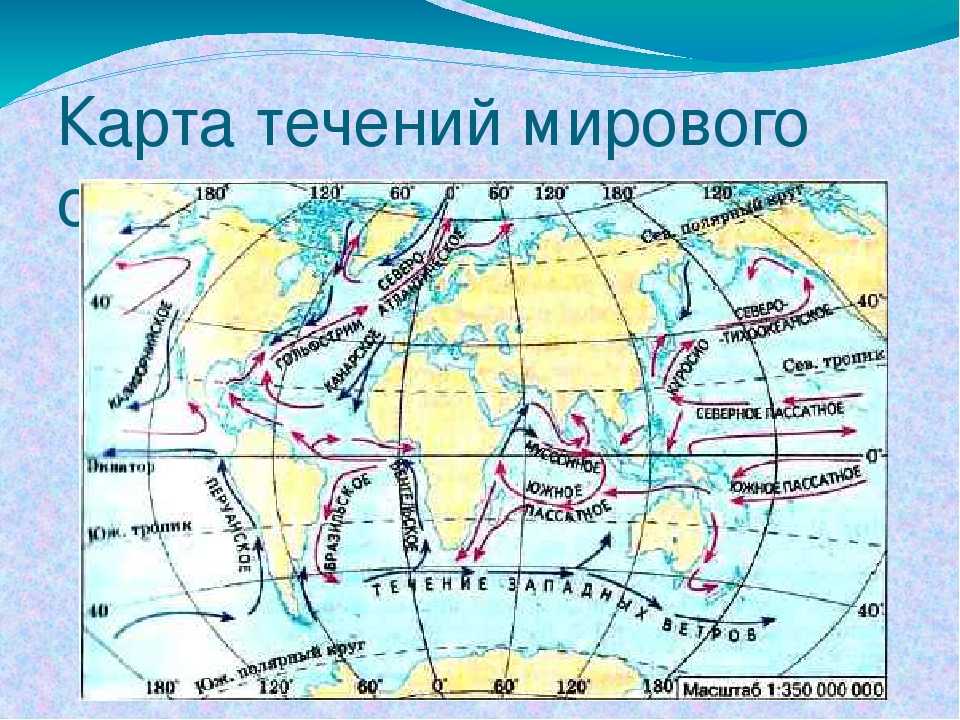 Какие течения атлантического океана. Течения Евразии на карте. Сомалийское течение на карте Евразии. Карта течений Атлантического океана. Муссонное течение на карте Евразии.