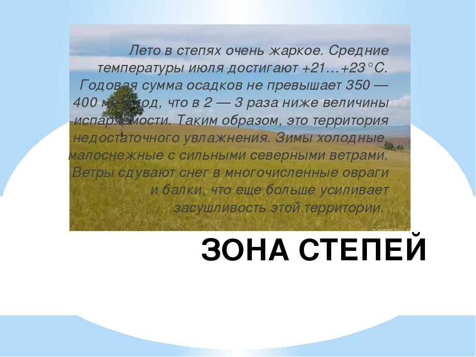 История о природных оркестрах. Рассказ о природной зоне.