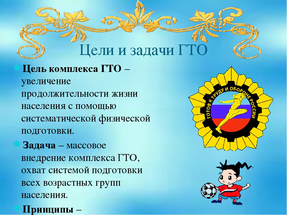 Проект гто в школе