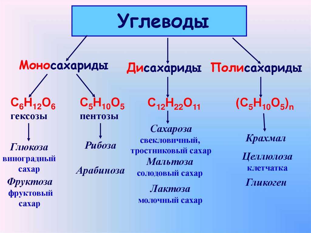 Углеводы состоят из нуклеотидов. Формула моносахарида олигосахарида полисахарида. Моносахариды, дисахариды, полисахариды (примеры и функции). Таблица моносахариды дисахариды полисахариды 10 класс. 9 Класс биология углеводы моносахариды.