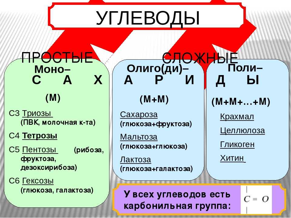 Углеводы презентация 10