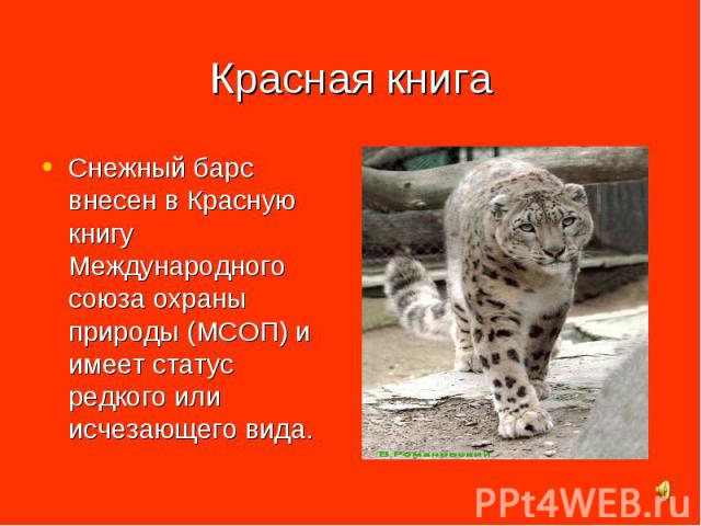 Проект о животных которые занесены в красную книгу