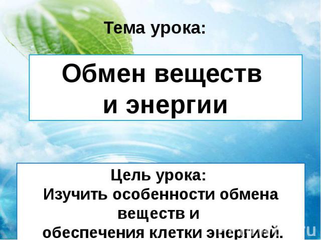 Организм единое целое 6 класс биология презентация пасечник