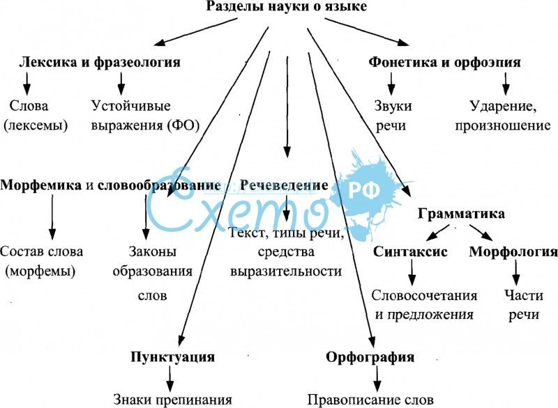 План урока лексика и фразеология