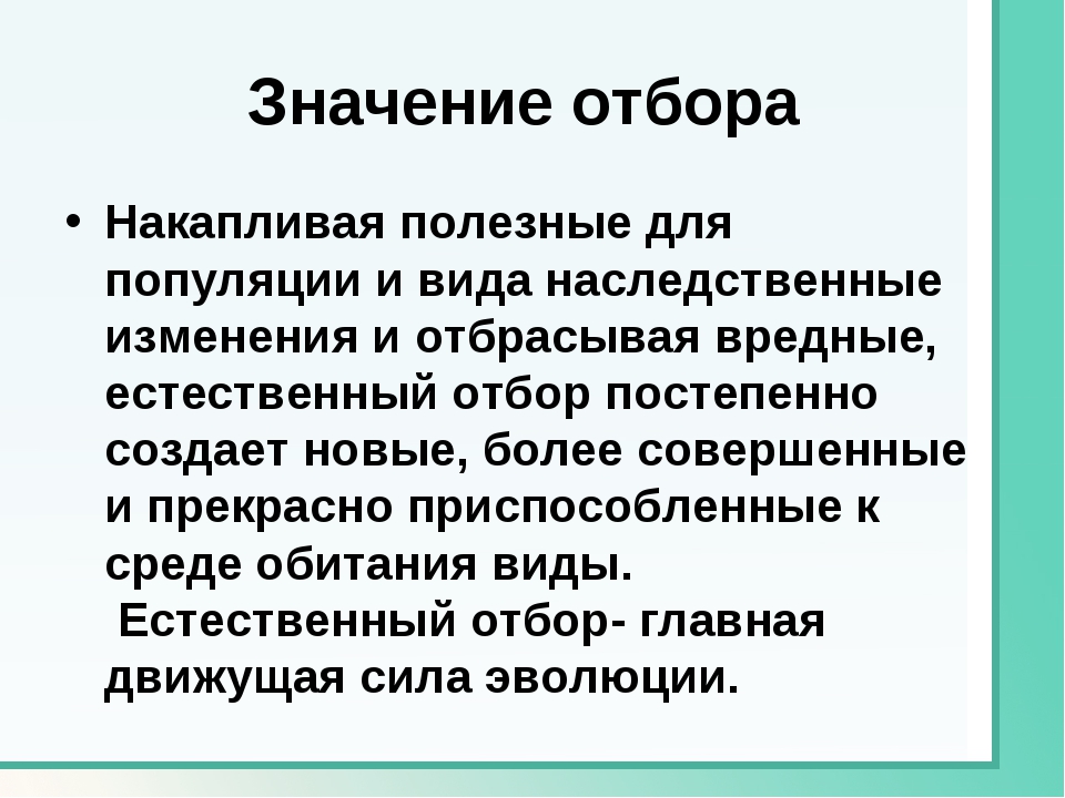 Естественный отбор презентация 9 класс биология