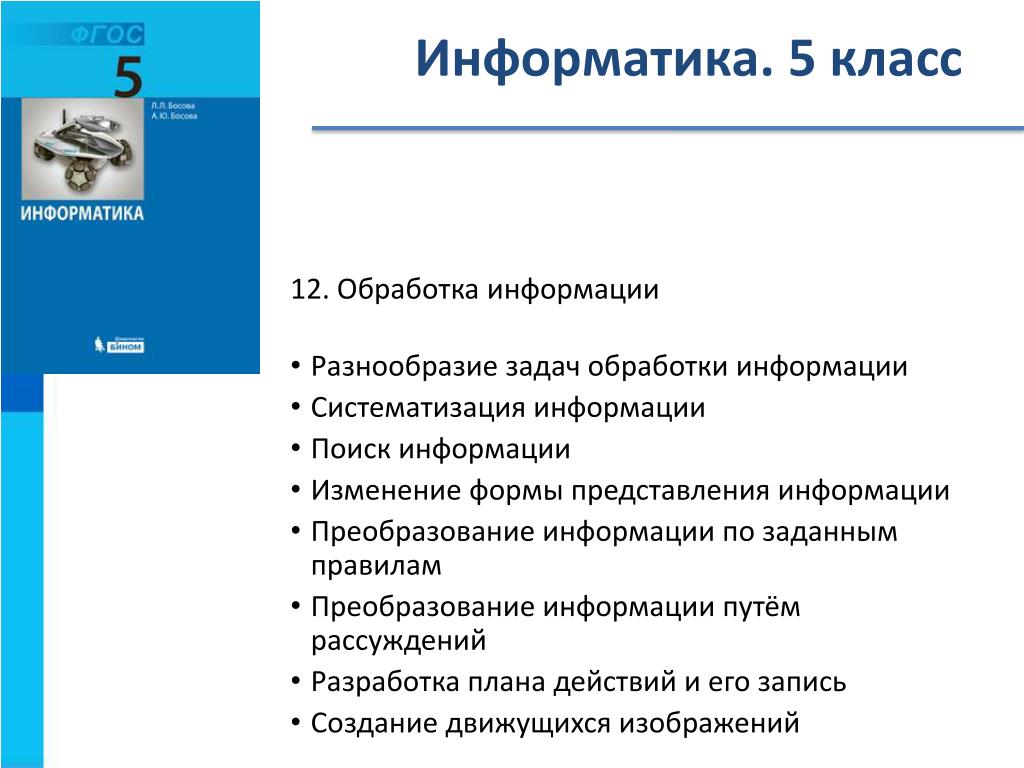 Индивидуальные проекты по информатике 10 класс