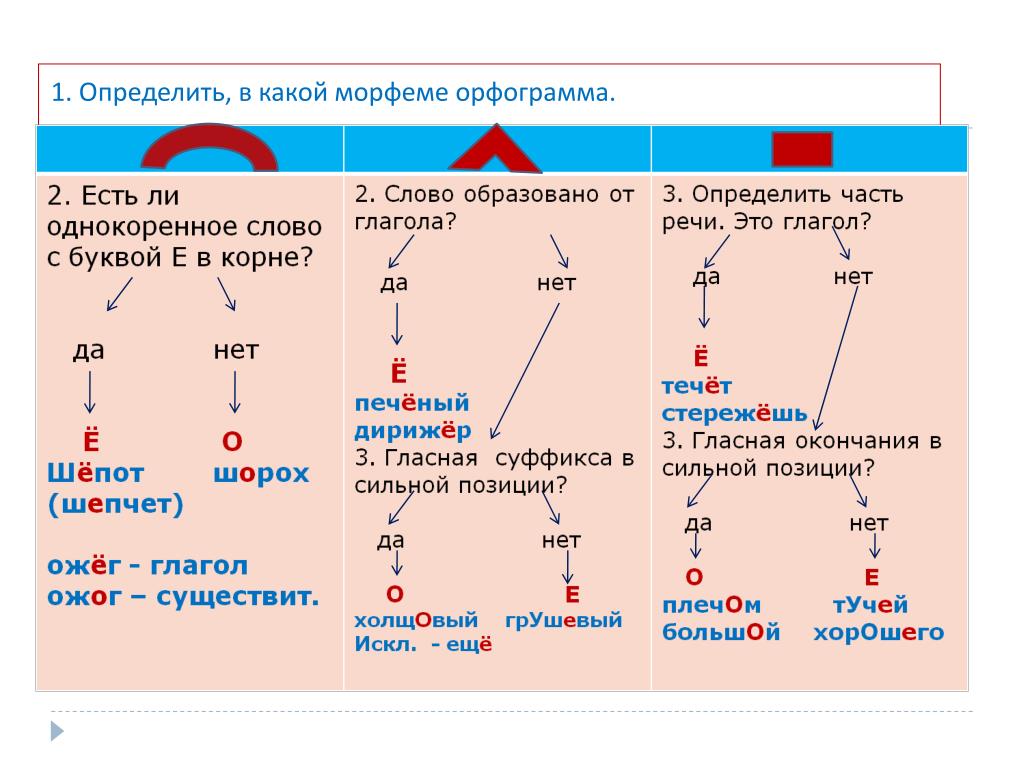 Орфограммы в корне слова схема