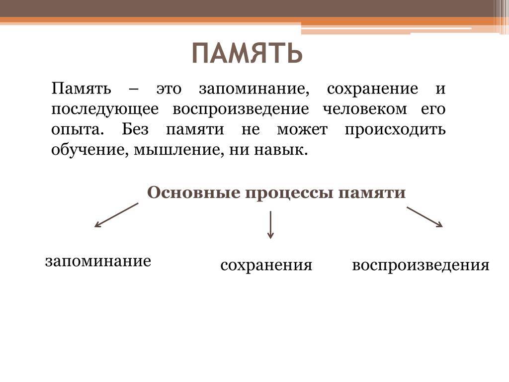 Виды памяти презентация по психологии